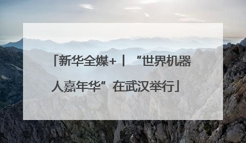 新华全媒+丨“世界机器人嘉年华”在武汉举行
