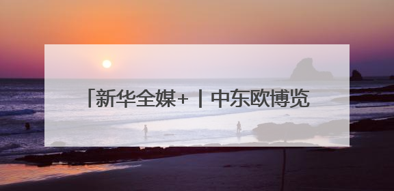 新华全媒+丨中东欧博览会上的“数智”科技秀
