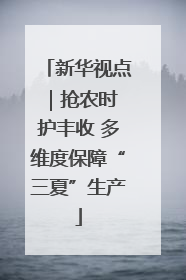新华视点｜抢农时 护丰收 多维度保障“三夏”生产