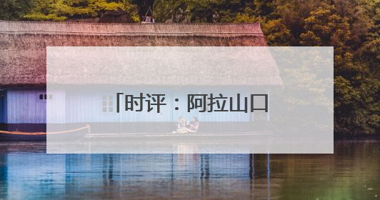 时评：阿拉山口“钢铁驼队”续写丝路新传奇