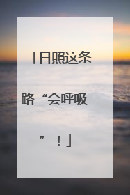 日照这条路“会呼吸”！