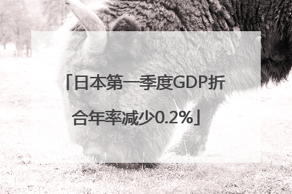 日本第一季度GDP折合年率减少0.2%