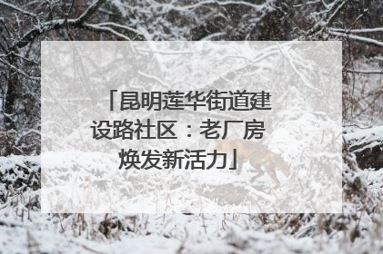 昆明莲华街道建设路社区：老厂房焕发新活力