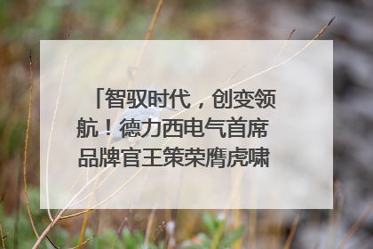 智驭时代，创变领航！德力西电气首席品牌官王策荣膺虎啸奖年度品牌人物