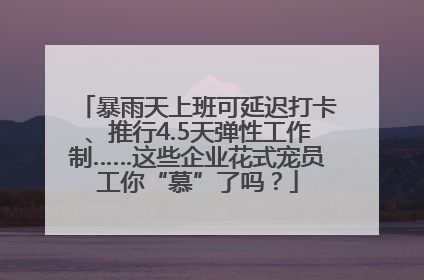 暴雨天上班可延迟打卡、推行4.5天弹性工作制……这些企业花式宠员工你“慕”了吗？