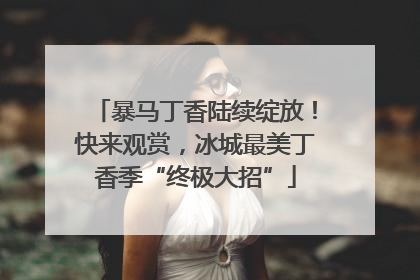 暴马丁香陆续绽放！快来观赏，冰城最美丁香季“终极大招”