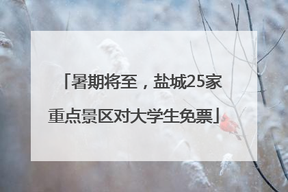 暑期将至，盐城25家重点景区对大学生免票