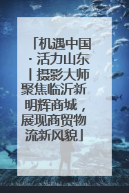 机遇中国・活力山东丨摄影大师聚焦临沂新明辉商城，展现商贸物流新风貌