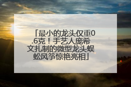 最小的龙头仅重0.6克！手艺人庞希文扎制的微型龙头蜈蚣风筝惊艳亮相