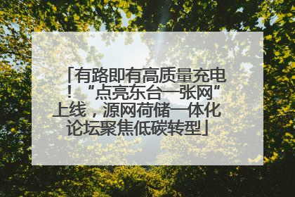 有路即有高质量充电！“点亮东台一张网”上线，源网荷储一体化论坛聚焦低碳转型