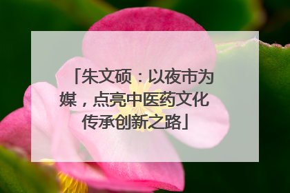 朱文硕：以夜市为媒，点亮中医药文化传承创新之路