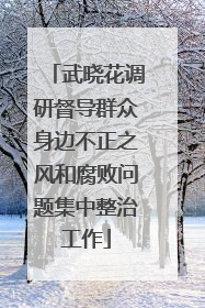 武晓花调研督导群众身边不正之风和腐败问题集中整治工作