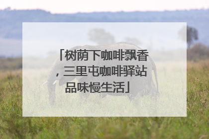 树荫下咖啡飘香，三里屯咖啡驿站品味慢生活