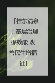 桂东清泉：基层治理提效能 改善民生增福祉