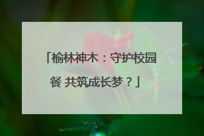 榆林神木：守护校园餐 共筑成长梦？