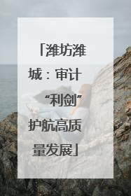 潍坊潍城：审计“利剑”护航高质量发展