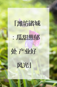 潍坊诸城：瓜甜葱郁处 产业好风光