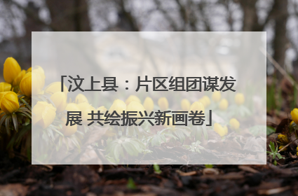 汶上县：片区组团谋发展 共绘振兴新画卷