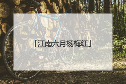 江南六月杨梅红