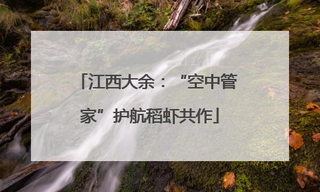 江西大余：“空中管家”护航稻虾共作