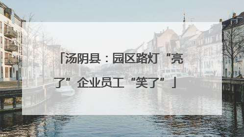 汤阴县：园区路灯“亮了”企业员工“笑了”