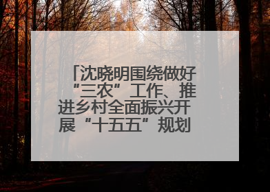 沈晓明围绕做好“三农”工作、推进乡村全面振兴开展“十五五”规划专题调研
