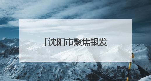 沈阳市聚焦银发经济释放530亿元投资合作机会