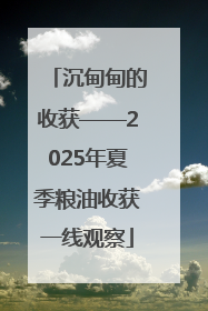 沉甸甸的收获——2025年夏季粮油收获一线观察