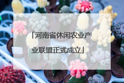 河南省休闲农业产业联盟正式成立
