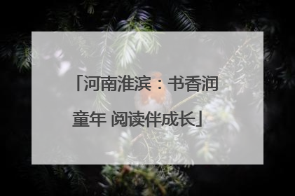 河南淮滨：书香润童年 阅读伴成长