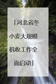 河北省冬小麦大规模机收工作全面启动