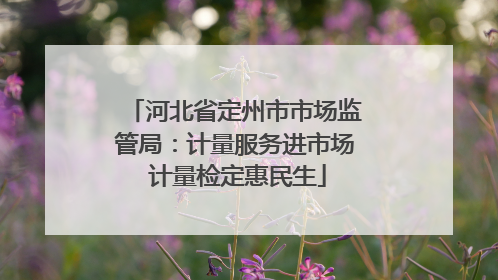 河北省定州市市场监管局：计量服务进市场 计量检定惠民生