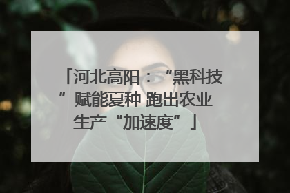 河北高阳：“黑科技”赋能夏种 跑出农业生产“加速度”