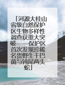 河源大桂山省级自然保护区生物多样性调查获重大突破——保护区首次发现珍稀名贵野生干巴菌与钝尾两头蛇