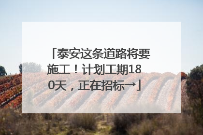 泰安这条道路将要施工！计划工期180天，正在招标→