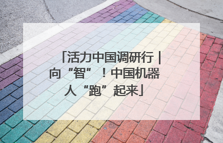 活力中国调研行｜向“智”！中国机器人“跑”起来
