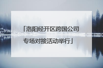 洛阳经开区跨国公司专场对接活动举行