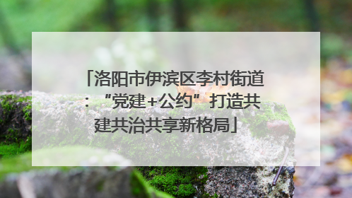 洛阳市伊滨区李村街道：“党建+公约”打造共建共治共享新格局
