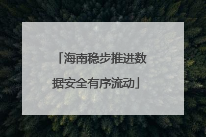 海南稳步推进数据安全有序流动