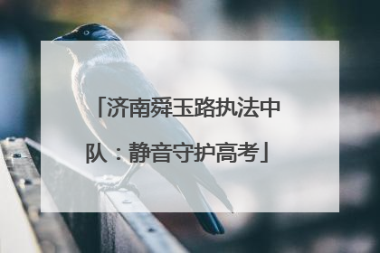 济南舜玉路执法中队：静音守护高考