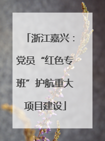 浙江嘉兴：党员“红色专班”护航重大项目建设