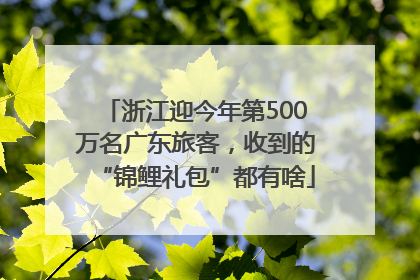 浙江迎今年第500万名广东旅客，收到的“锦鲤礼包”都有啥