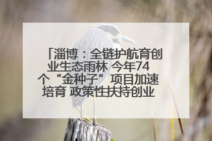淄博：全链护航育创业生态雨林 今年74个“金种子”项目加速培育 政策性扶持创业9754人