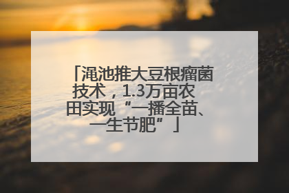 渑池推大豆根瘤菌技术，1.3万亩农田实现“一播全苗、一生节肥”