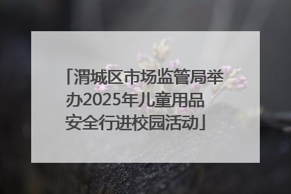 渭城区市场监管局举办2025年儿童用品安全行进校园活动