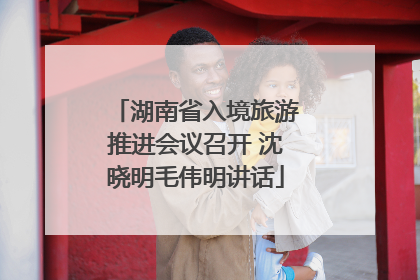湖南省入境旅游推进会议召开 沈晓明毛伟明讲话