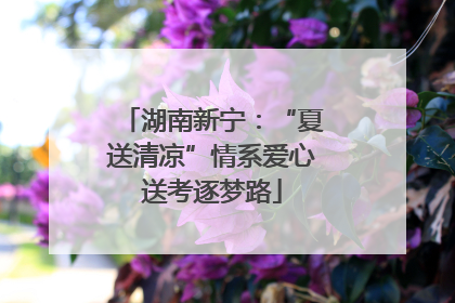 湖南新宁：“夏送清凉”情系爱心送考逐梦路