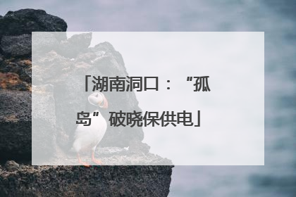 湖南洞口：“孤岛”破晓保供电