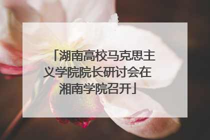 湖南高校马克思主义学院院长研讨会在湘南学院召开