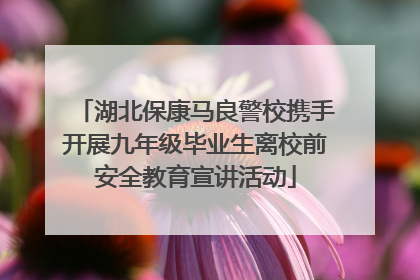 湖北保康马良警校携手开展九年级毕业生离校前安全教育宣讲活动